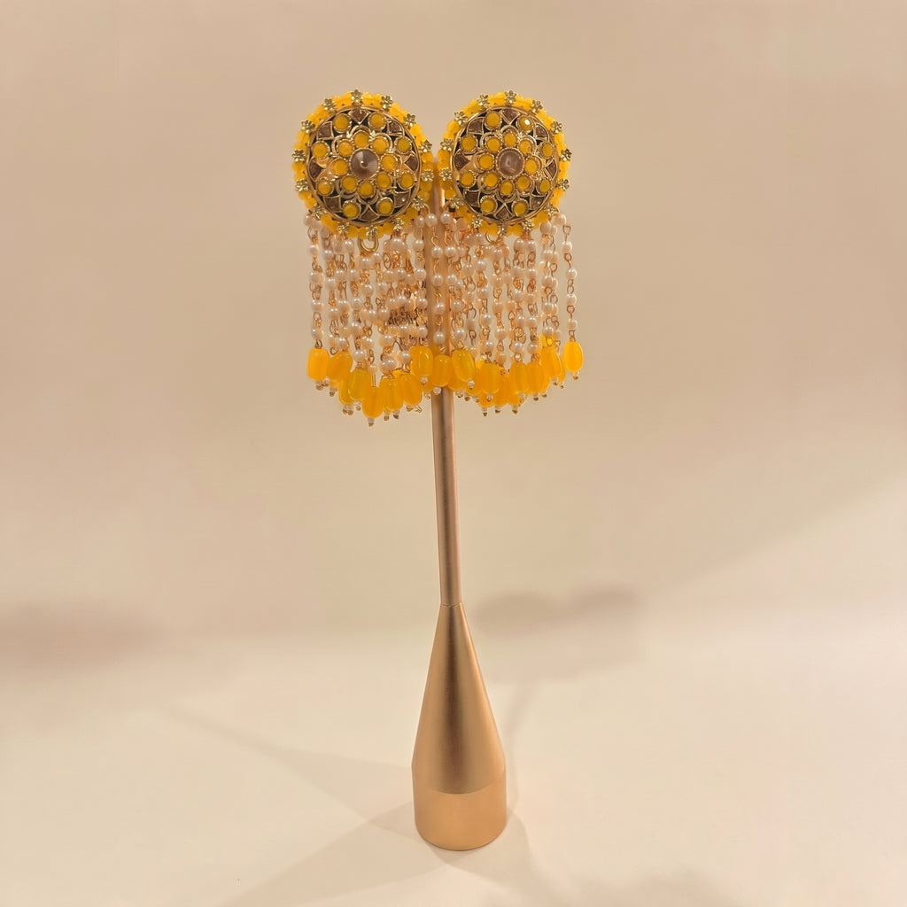 Tassle earrings (multiple colour options)