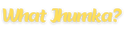 What Jhumka? - By Mahak - Home