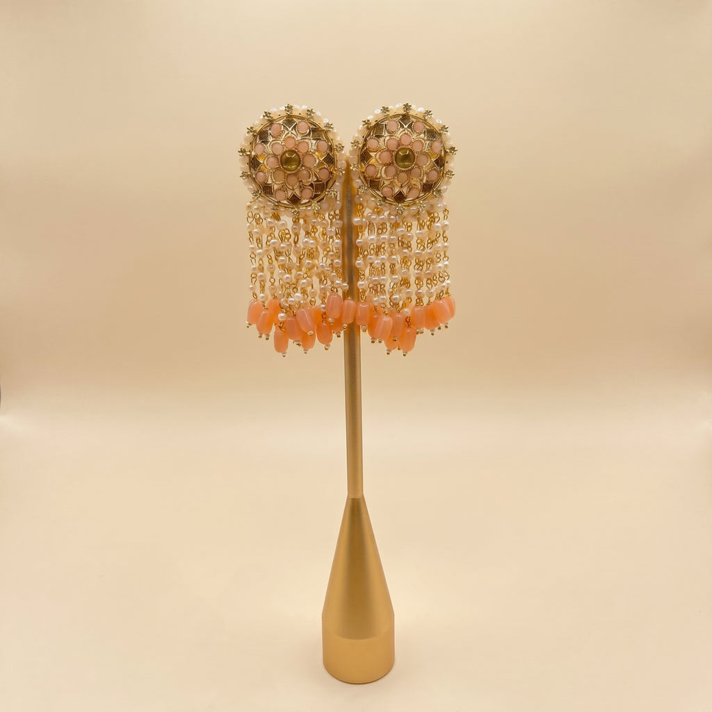 Tassle earrings (multiple colour options)