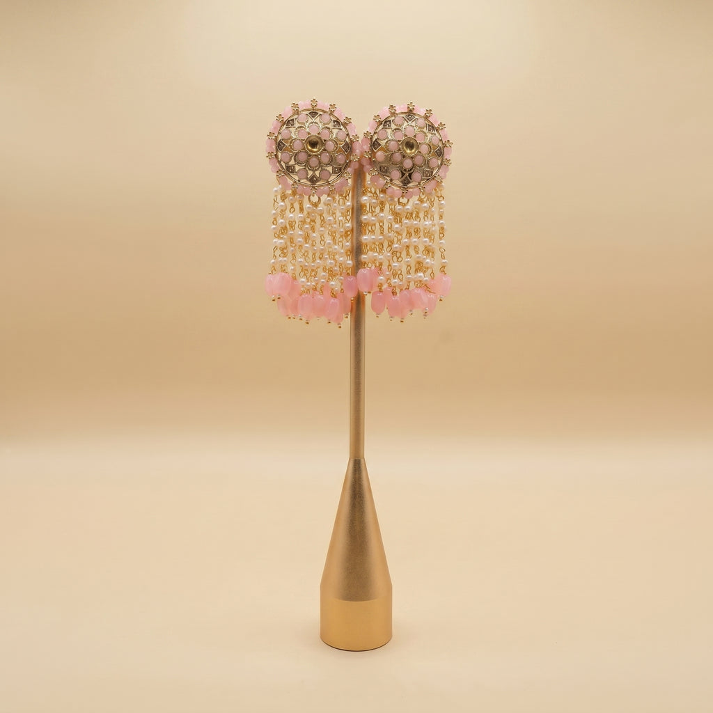 Tassle earrings (multiple colour options)