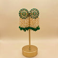 Tassle earrings (multiple colour options)